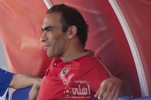 سيد