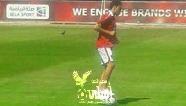 أهلى سبورت